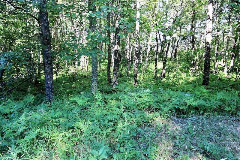 L10 B2 WB15 White Overlook Dr, Breezy Point, MN 56472
