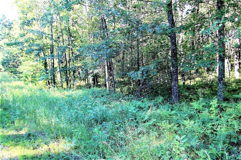 L10 B2 WB15 White Overlook Dr, Breezy Point, MN 56472
