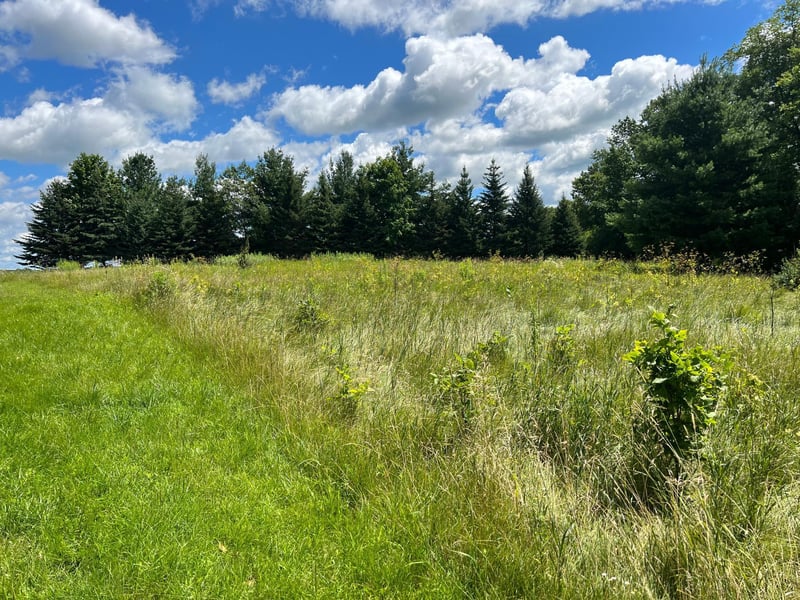 17155 Oriole Rd, Wykoff, MN 55990