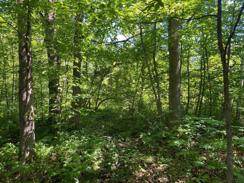 XX 125th Ave, Onamia, MN 56359