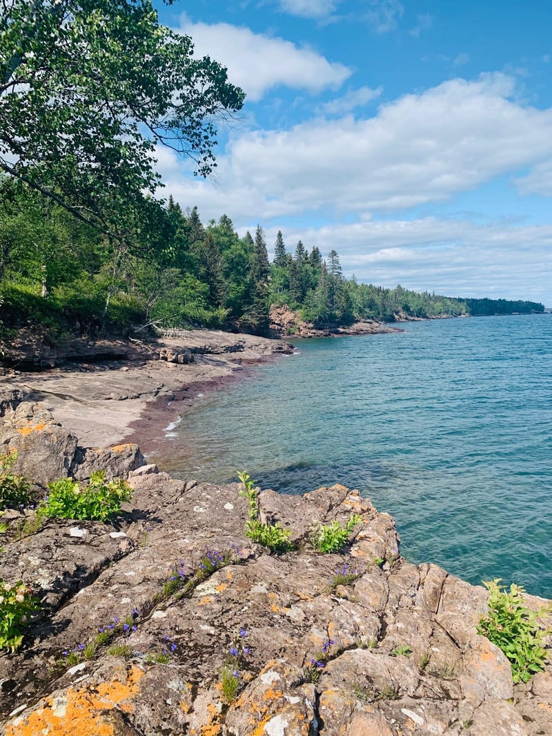 6006 Rollins Creek Rd, Lutsen, MN 55612