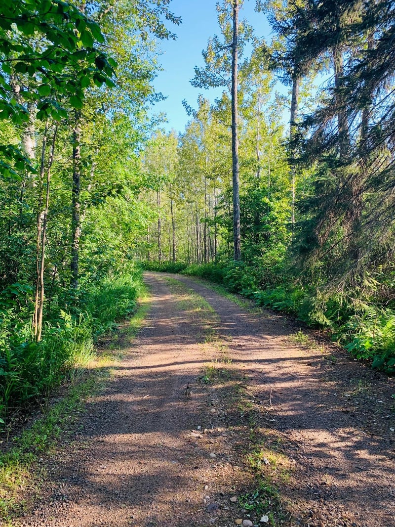 6006 Rollins Creek Rd, Lutsen, MN 55612