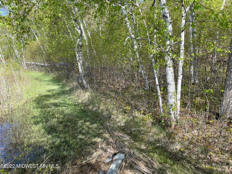 29387 Buffalo Rn, Rochert, MN 56578