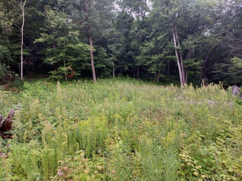 xx 52nd Ave, Osceola, WI 54020