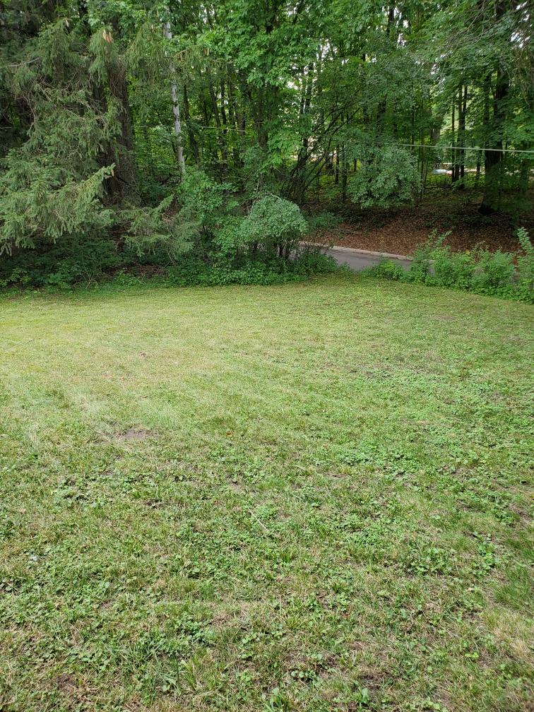 430 Long Lake Rd E, Orono, MN 55391