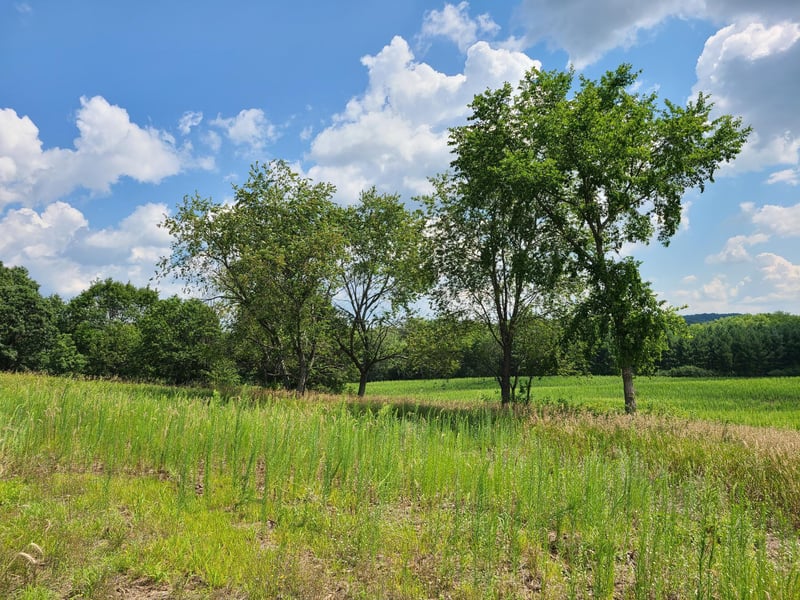 XXX Lot 2 County Road F, Boyceville, WI 54725