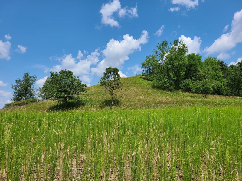 XXX Lot 2 County Road F, Boyceville, WI 54725