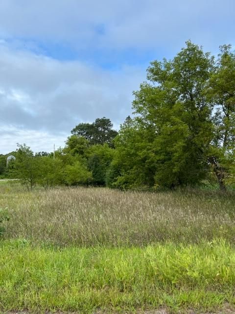 0 Tulip St NW, Isanti, MN 55008