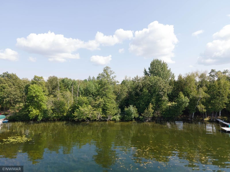 29661 Timberwolf Rd NE, Pennington, MN 56663