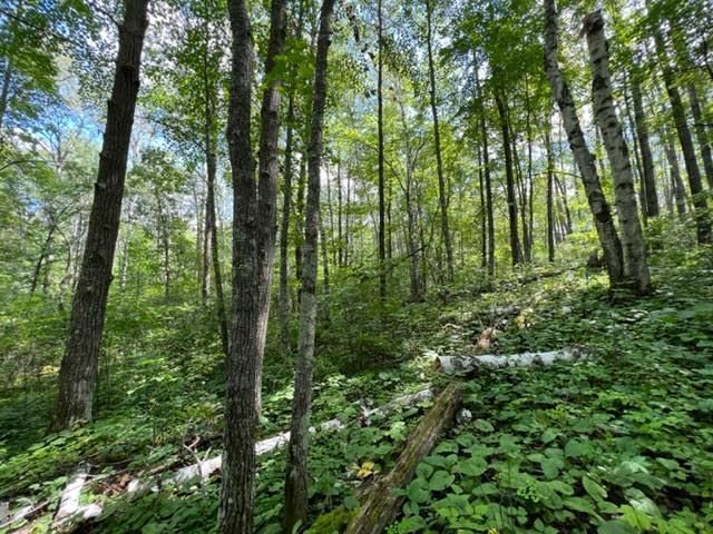 14446 London Ln, Brainerd, MN 56401