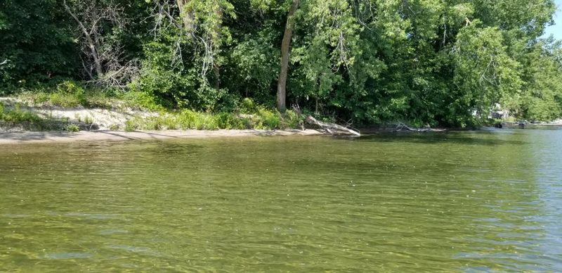 xxx Front St, Battle Lake, MN 56515