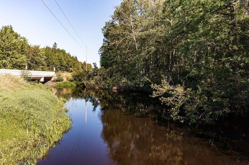 tbd County Road 65, Swan River, MN 55784