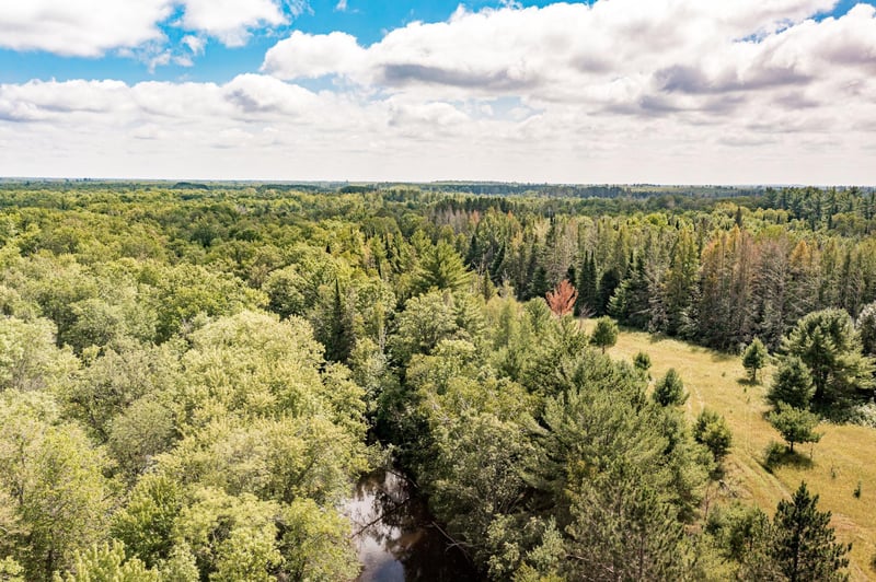 tbd County Road 65, Swan River, MN 55784
