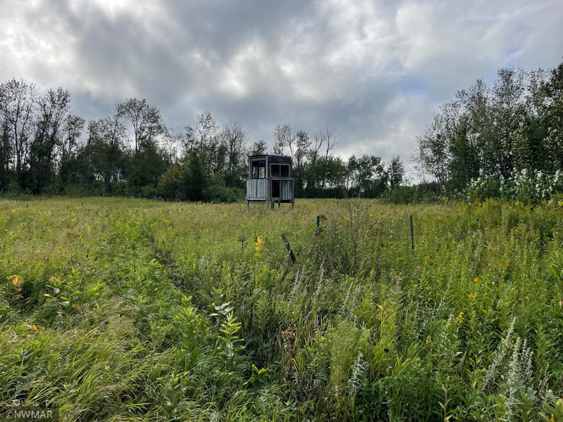 TBD 150th Ave NW, Newfolden, MN 56738