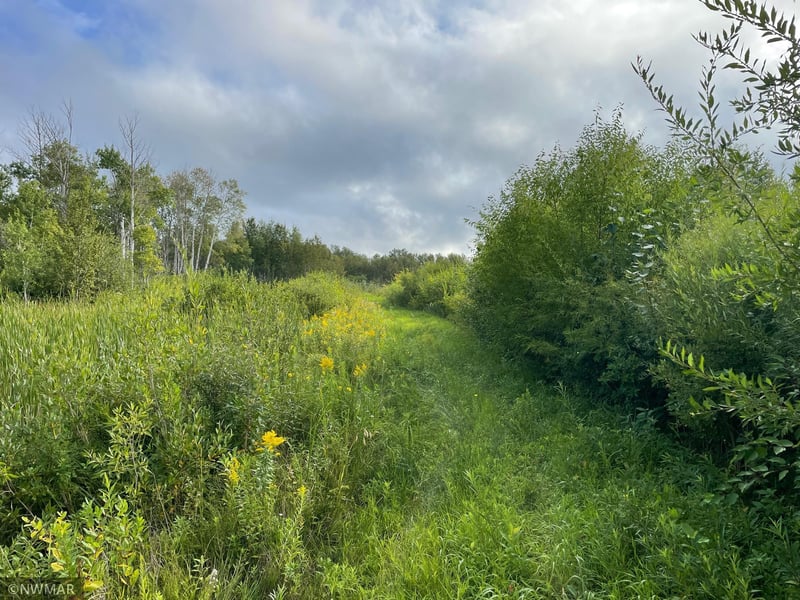 TBD 150th Ave NW, Newfolden, MN 56738