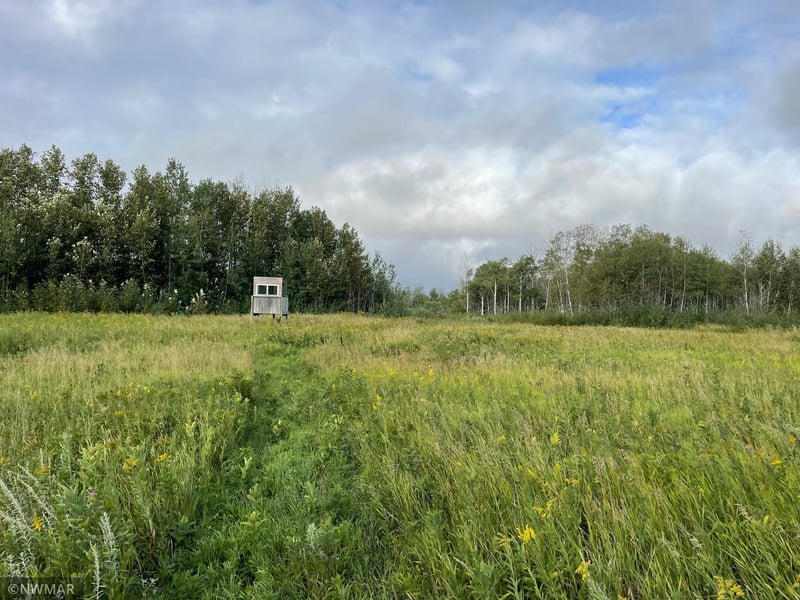 TBD 150th Ave NW, Newfolden, MN 56738