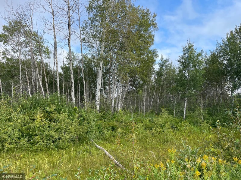 TBD 150th Ave NW, Newfolden, MN 56738