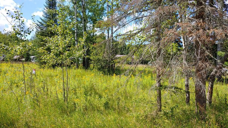 10339- Lot 2 Ash River Trl, Orr, MN 55771