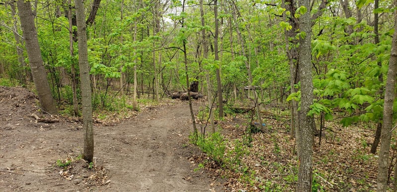xx 1 St NW, Oronoco, MN 55960