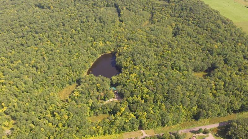 0 Lapcinski, Sarona, WI 54870