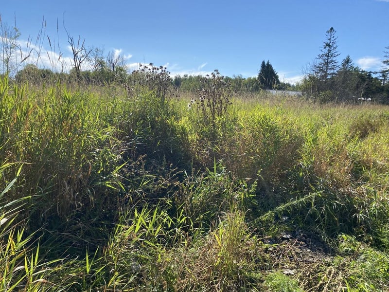 N3816 7th St, Weyerhaeuser, WI 54895