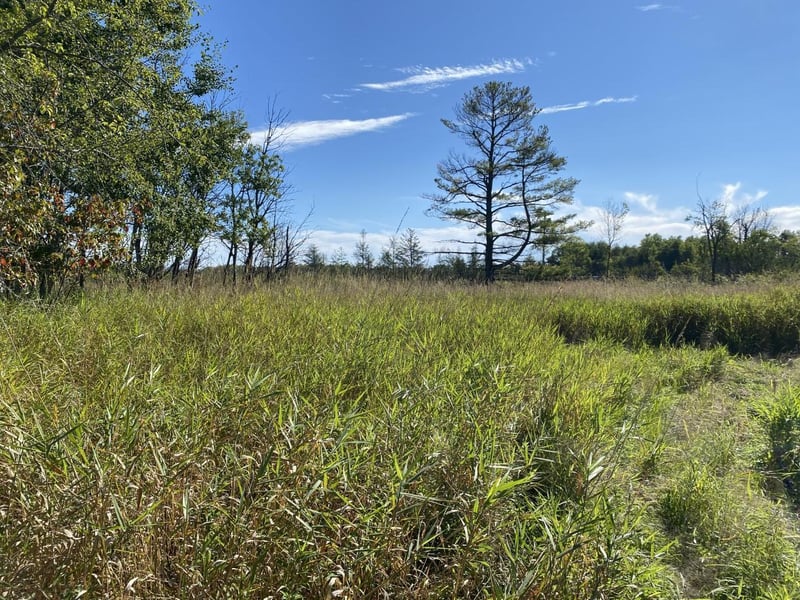 N3816 7th St, Weyerhaeuser, WI 54895