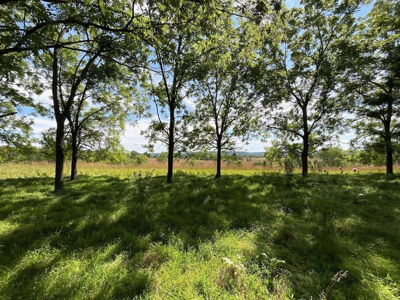 TBD Westervelt Avenue Way W, Frontenac, MN 55026