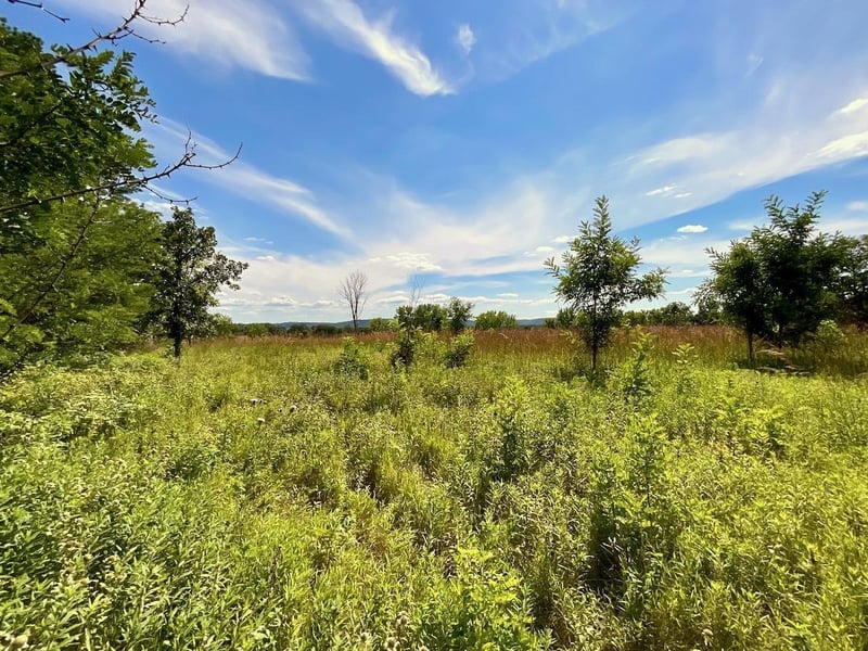 TBD Westervelt Avenue Way W, Frontenac, MN 55026