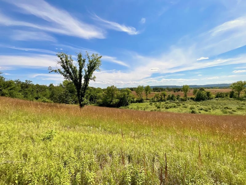 TBD Westervelt Avenue Way W, Frontenac, MN 55026