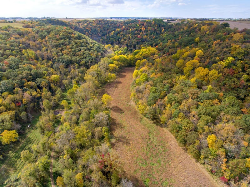 72341 327th Ave, Lake City, MN 55041