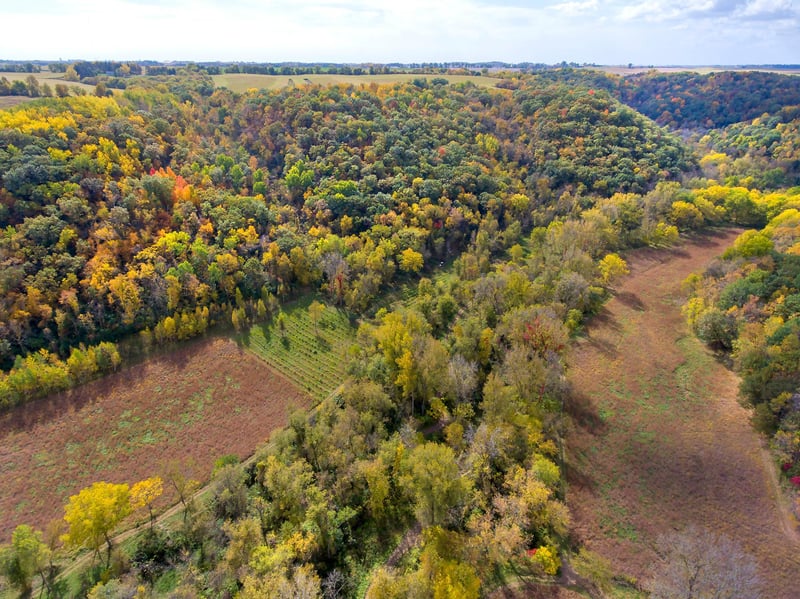 72341 327th Ave, Lake City, MN 55041