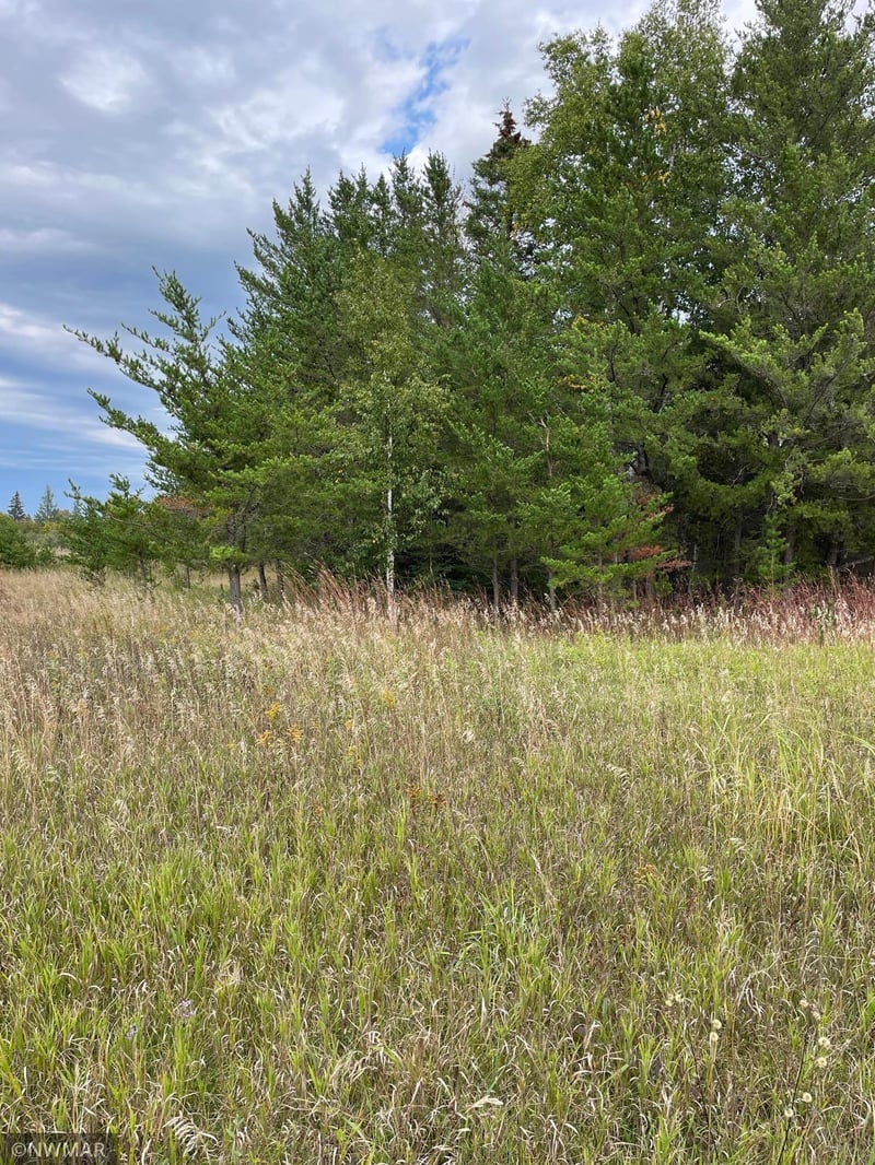TBD Cty 9, Solway, MN 56678
