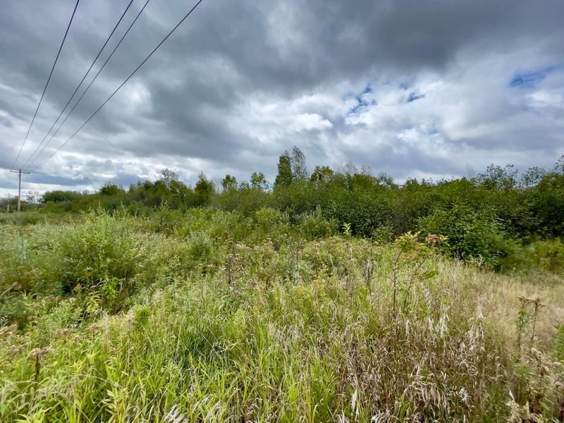 8473 County 1 SW, Pequot Lakes, MN 56472