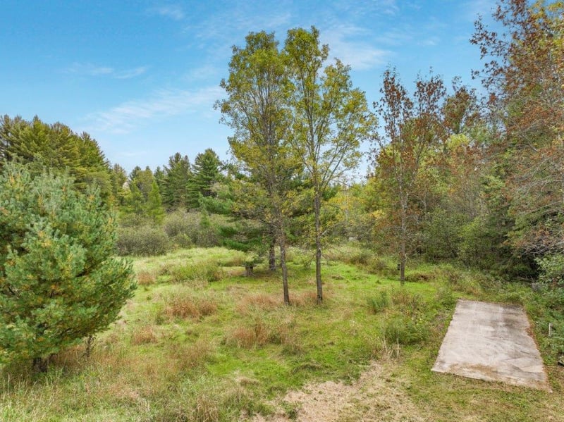 xxx Persons Ln, Bruce, WI 54819