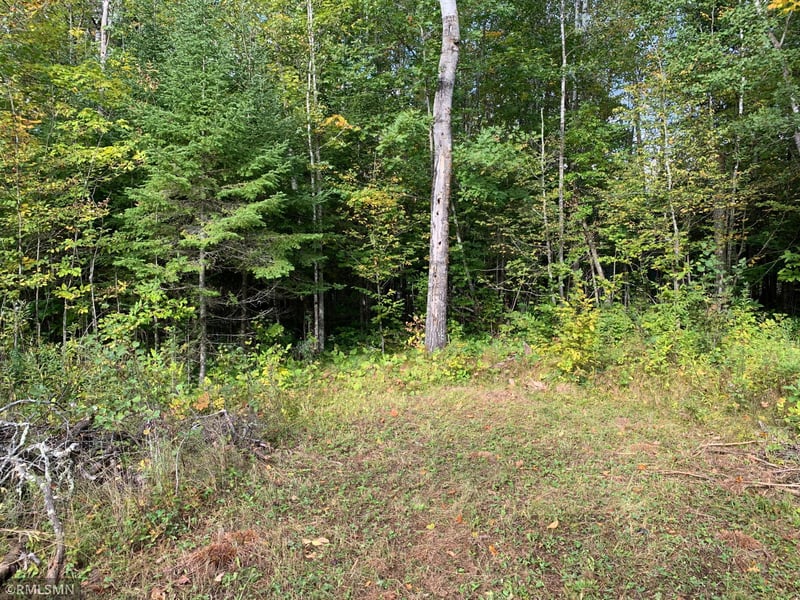15631 480th St, Tamarack, MN 55787