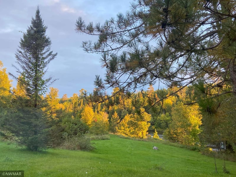 603 N Big Fork Ave, Big Falls, MN 56627