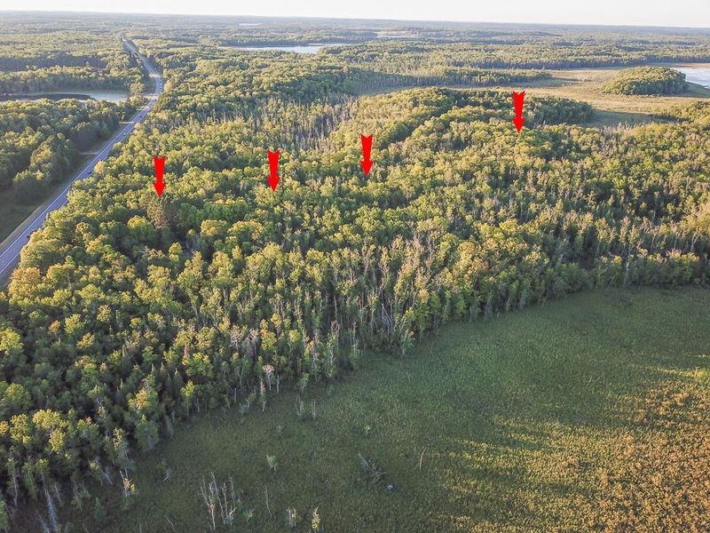 3 Lots Beaver Dr, Garrison, MN 56450