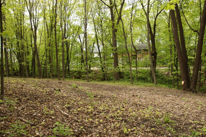 2885 Ardmore Ave, Medina, MN 55359