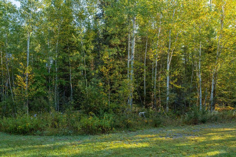XXXX-B Suoja Rd, Ely, MN 55731