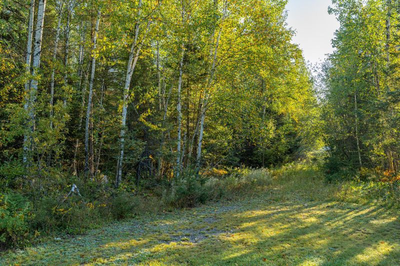 XXXX-B Suoja Rd, Ely, MN 55731