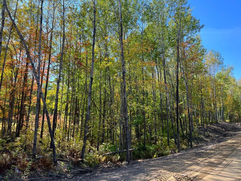 TBD 3 Ridgeway Ln, Walker, MN 56484