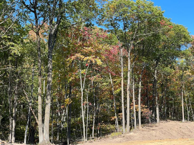 TBD 3 Ridgeway Ln, Walker, MN 56484