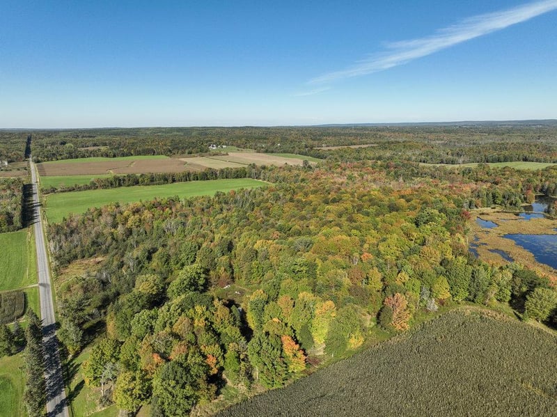 0 Pleasant Ridge Rd, Weyerhaeuser, WI 54895