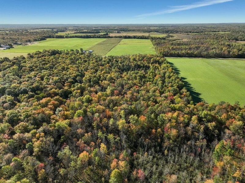 0 Pleasant Ridge Rd, Weyerhaeuser, WI 54895