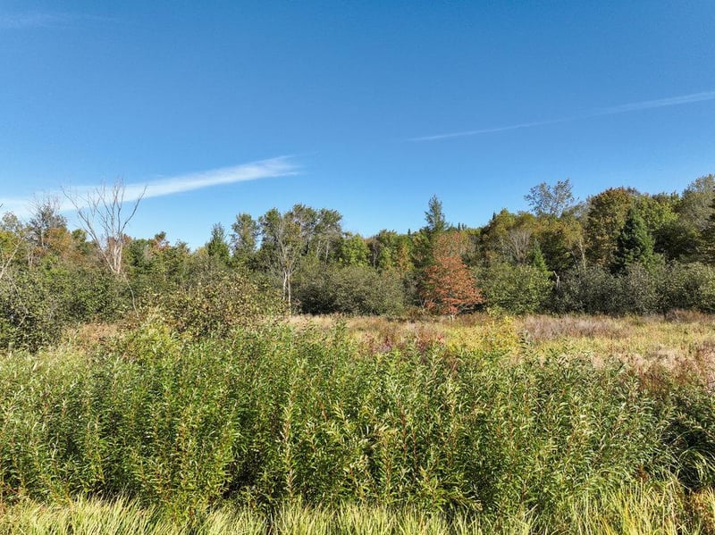 0 Pleasant Ridge Rd, Weyerhaeuser, WI 54895