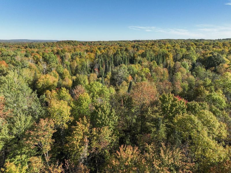 0 Pleasant Ridge Rd, Weyerhaeuser, WI 54895