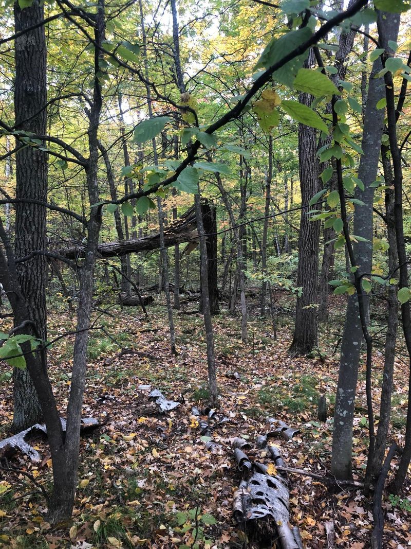 Lot 5 Castlewood Ct, Breezy Point, MN 56472