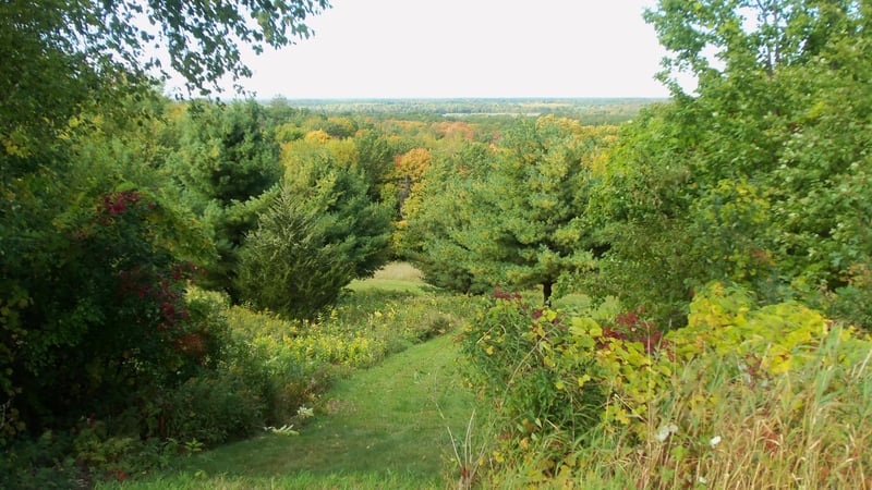 XXX Whispering Pines Rd, Frederic, WI 54837