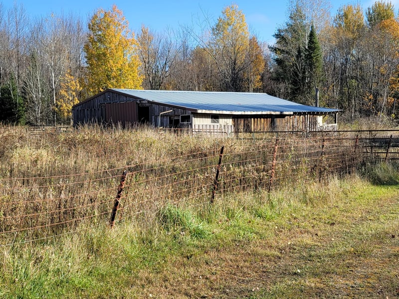 N8732 Reichel Rd, Bruce, WI 54819