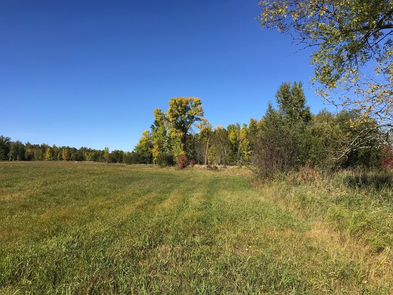 9305 Boy Lake Dr NE, Boy River, MN 56672